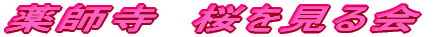 薬師寺 桜を見る会